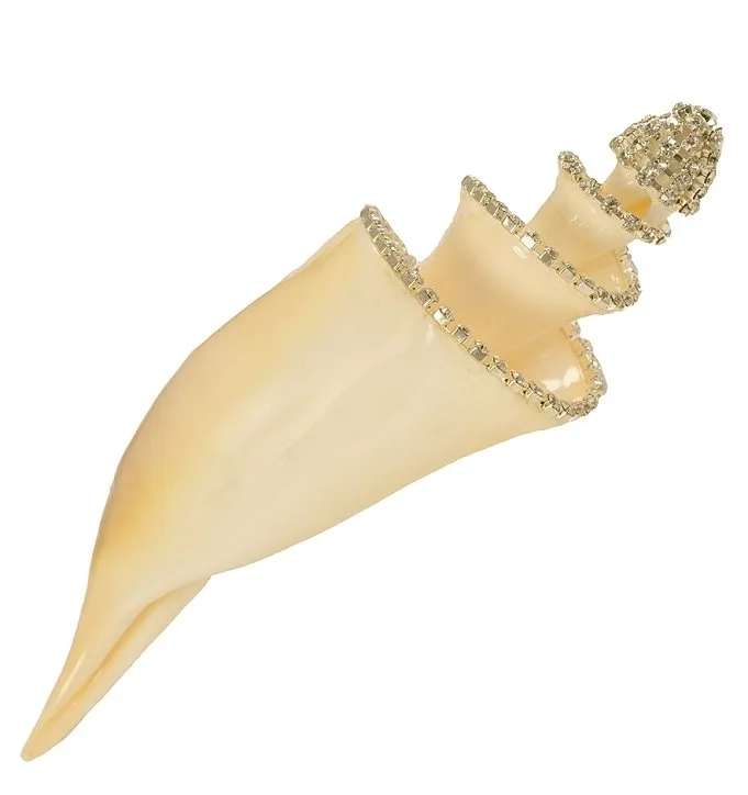 Neptune's Jewels Crystal Shell Collection Lambis Truncate Spiral
